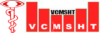 Vision College logo